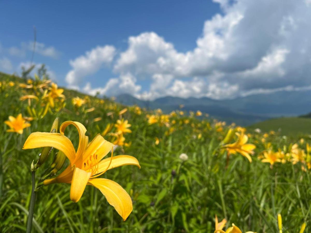Pension Wildflowers Tatesina Kültér fotó