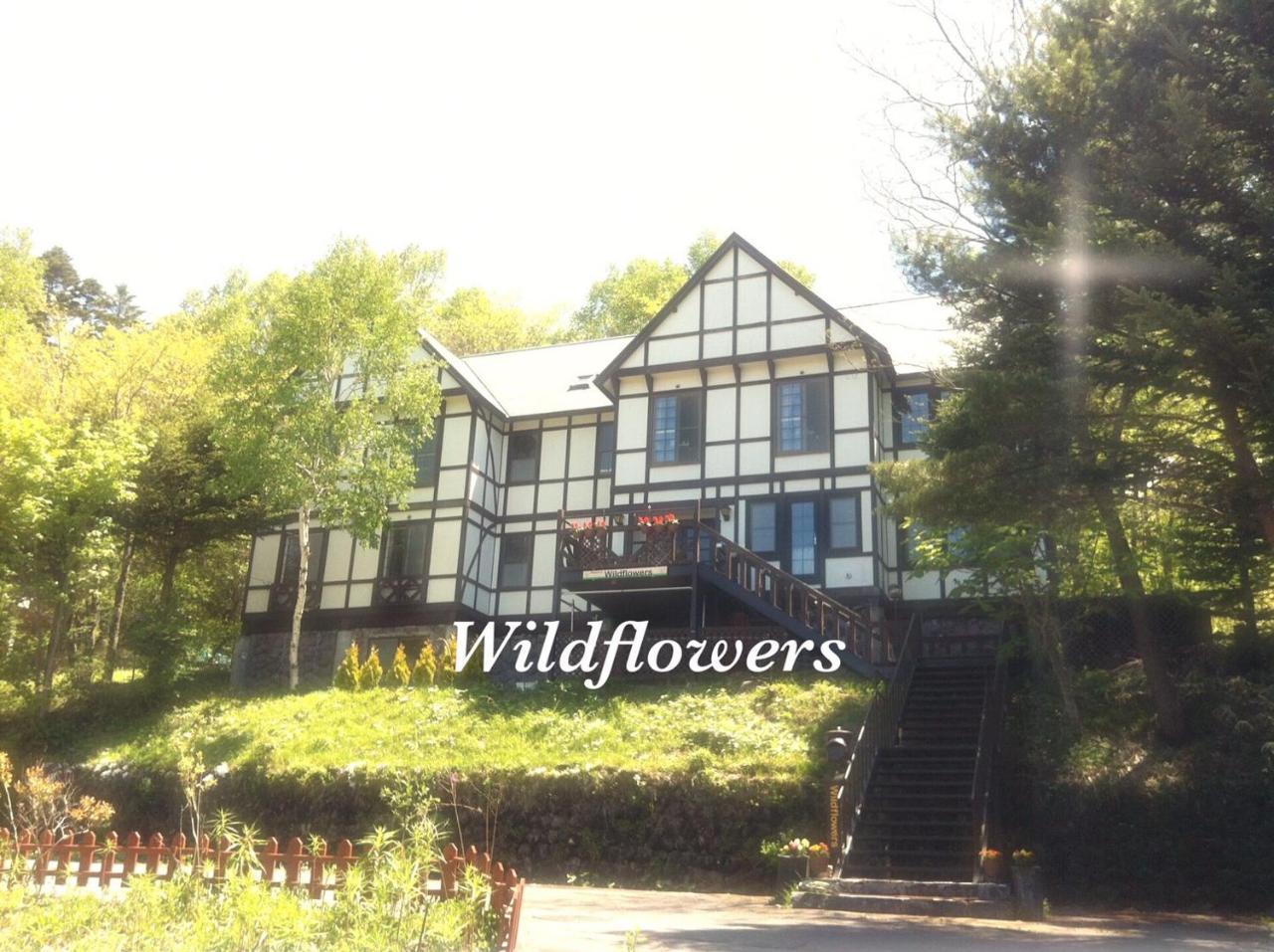 Pension Wildflowers Tatesina Kültér fotó