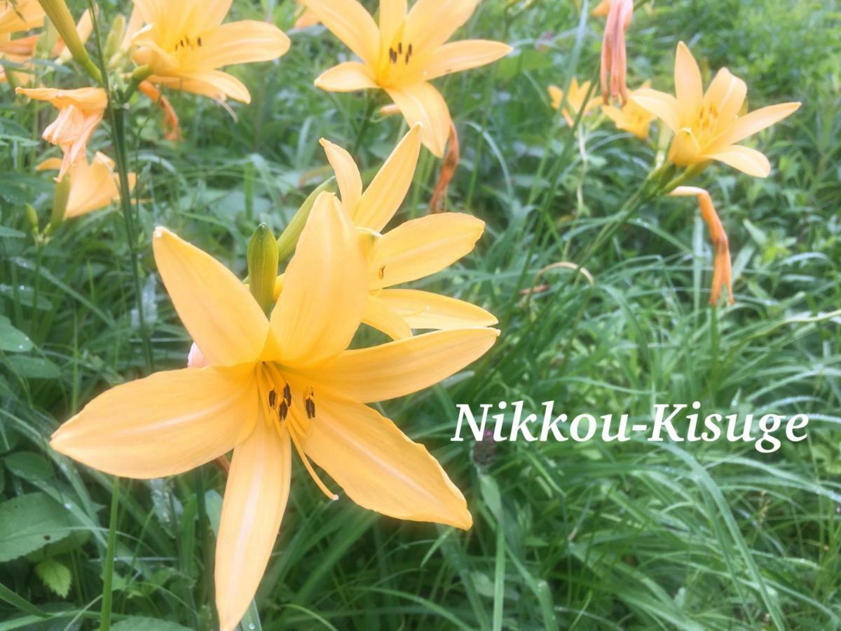 Pension Wildflowers Tatesina Kültér fotó