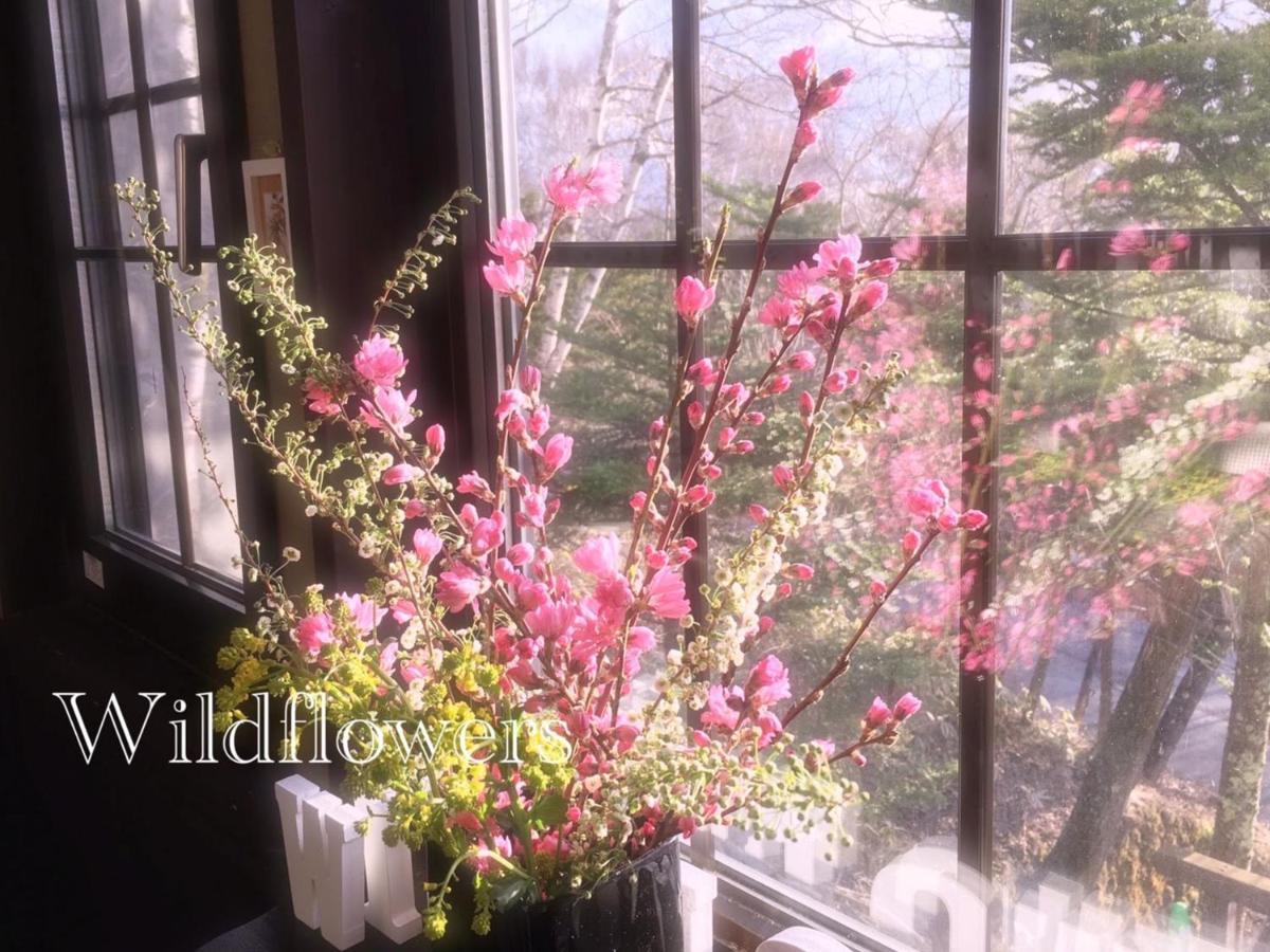 Pension Wildflowers Tatesina Kültér fotó