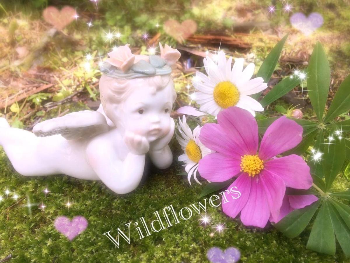 Pension Wildflowers Tatesina Kültér fotó